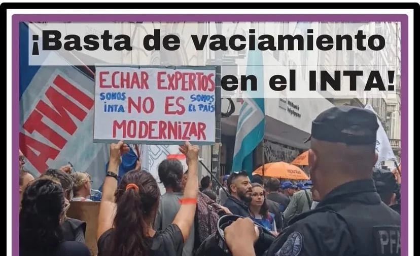 La motosierra llego al Itu amba