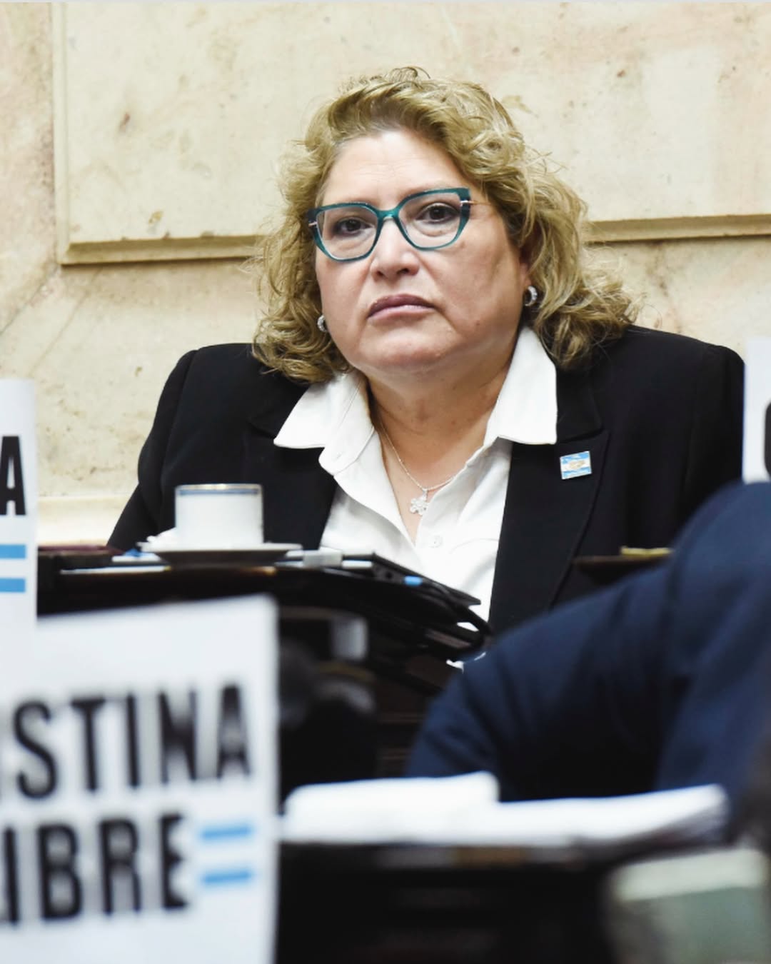La Diputada Carolina Yutrovic en el Congreso