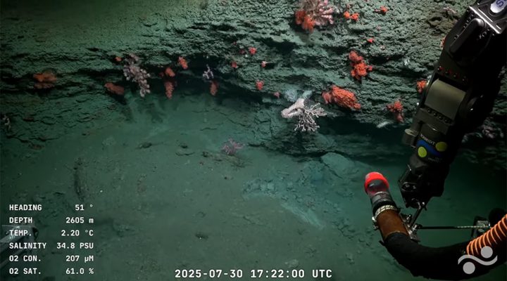 Imagenes de la expedición del Conicet
