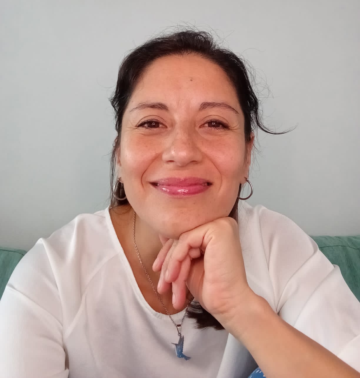 La licenciada Jorgelina Sequeira