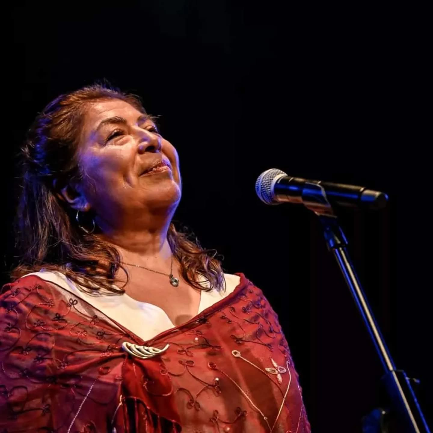 Silvia Gomez Cantautora de folklore