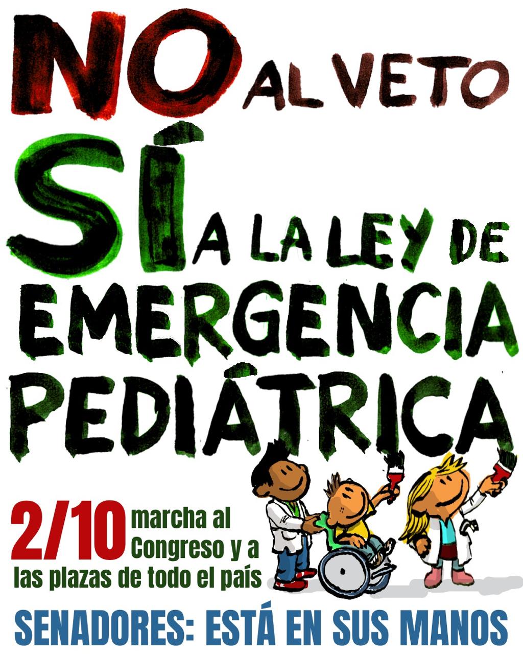 No al veto, si a la ley de emergencia pediátrica. El flyer del Garrahan