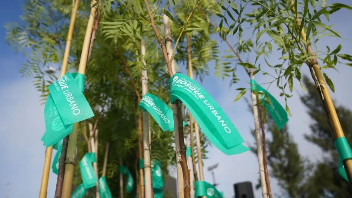 Plan estratégico Ituzaingó Bosque Urbano 2030
