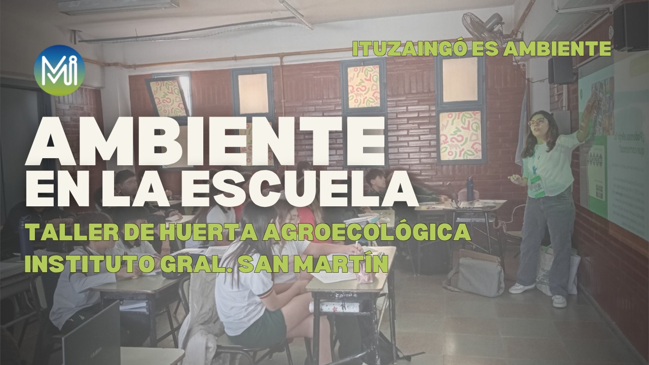 AMBIENTE EN LA ESCUELA Taller de huerta agricológica San Martin