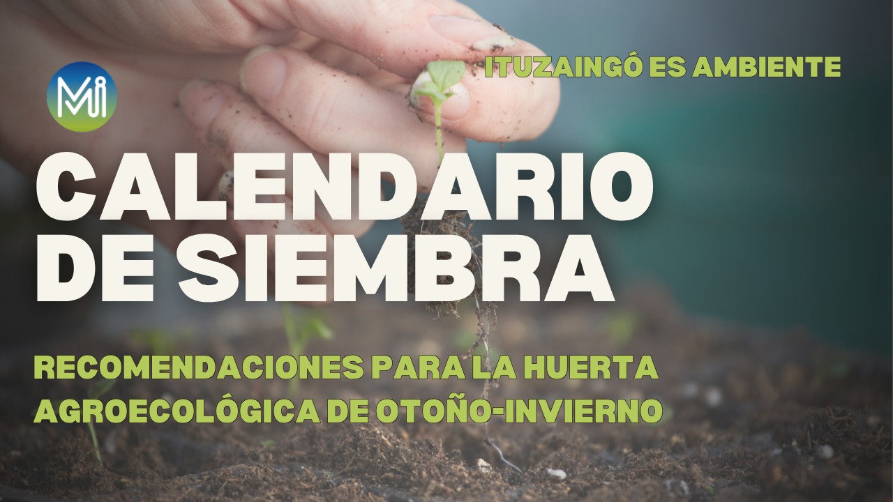 Ituzaingo es Ambiente