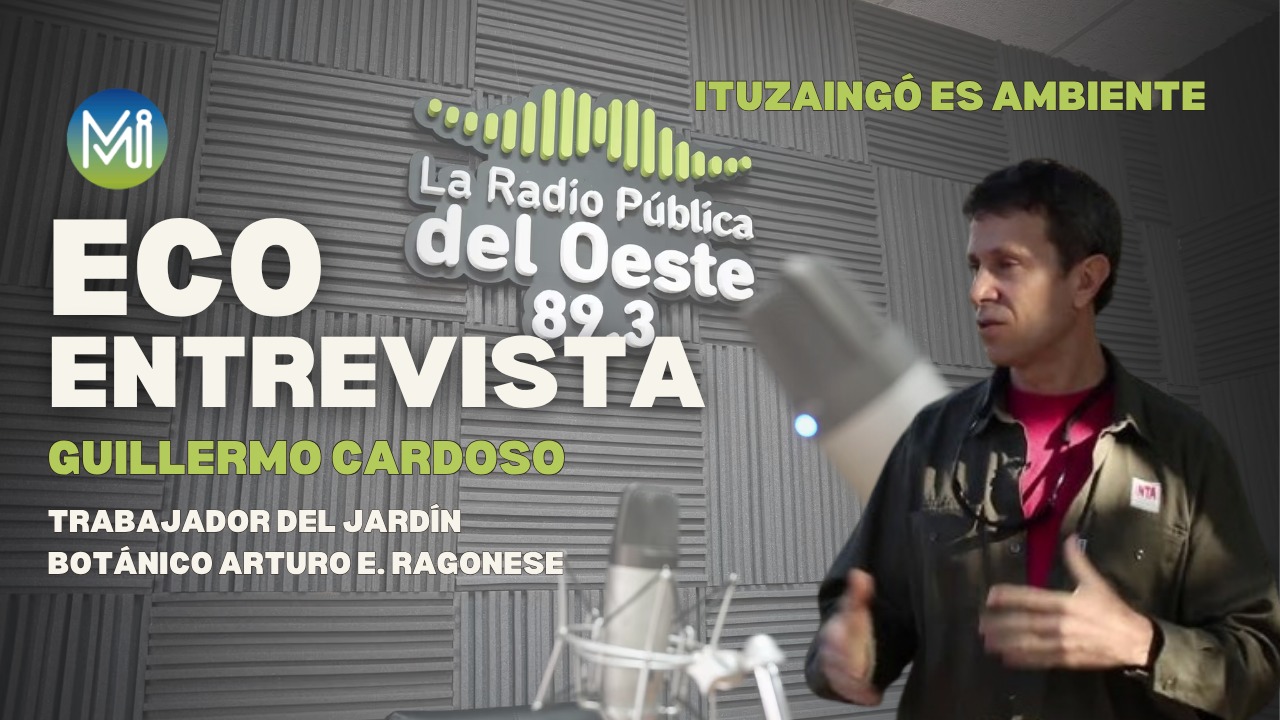 ECOENTREVISTA | GUILLERMO CARDOSO