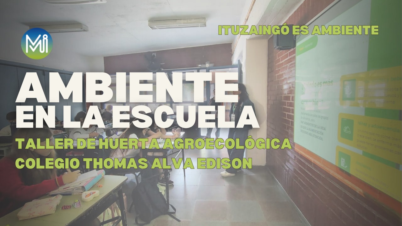 Ambiente en la Escuela: Taller de huerta agroecológica, colegio Thomas Alva Edison