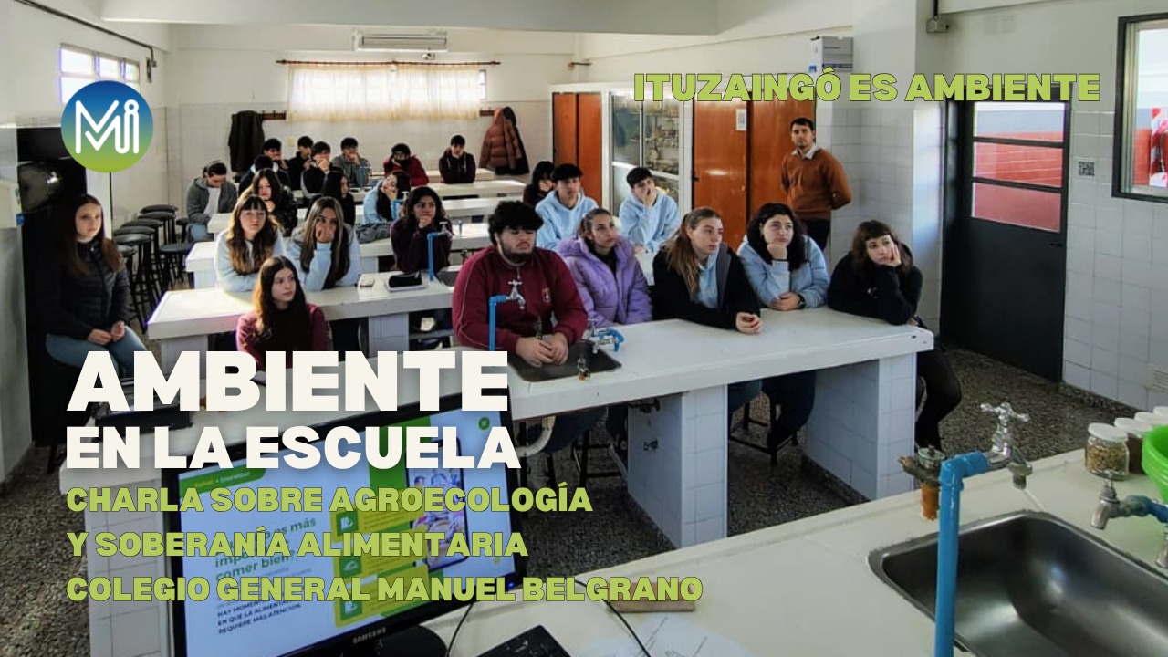 Ambiente en la Escuela: Colegio General Manuel Belgrano 