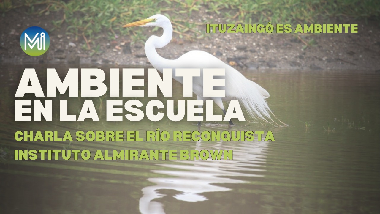 AMBIENTE EN LA ESCUELA | INSTITUTO ALMIRANTE BROWN