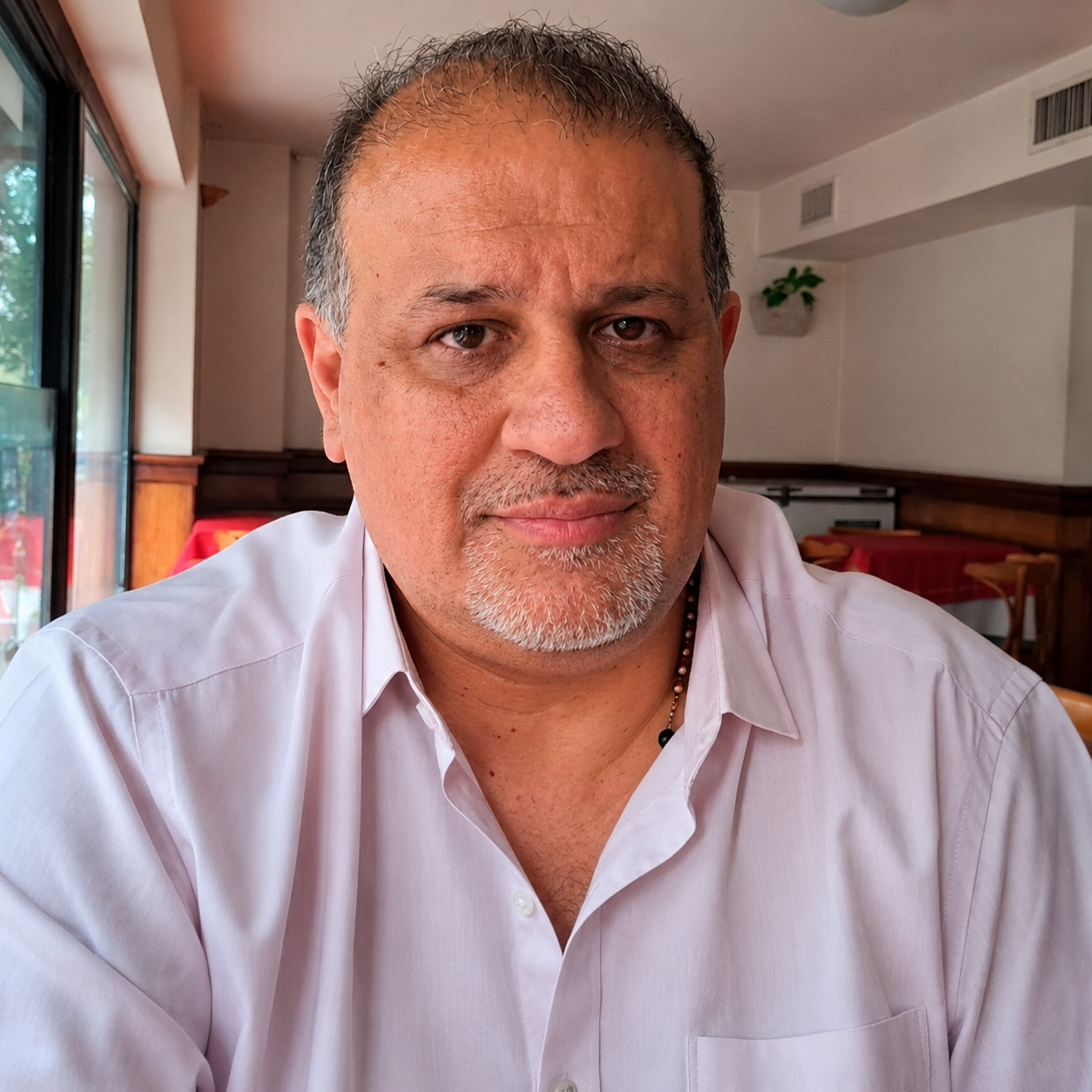 Fabian Medina, Analista Económico 