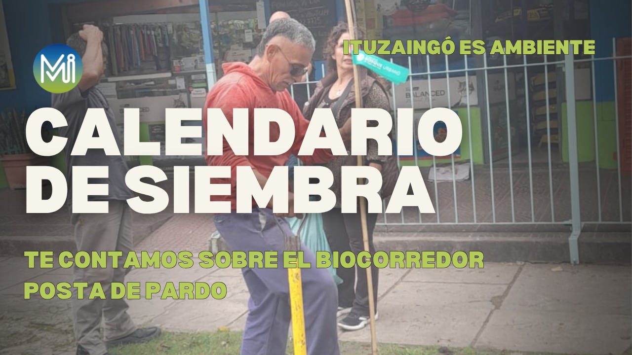 Calendario de Siembra