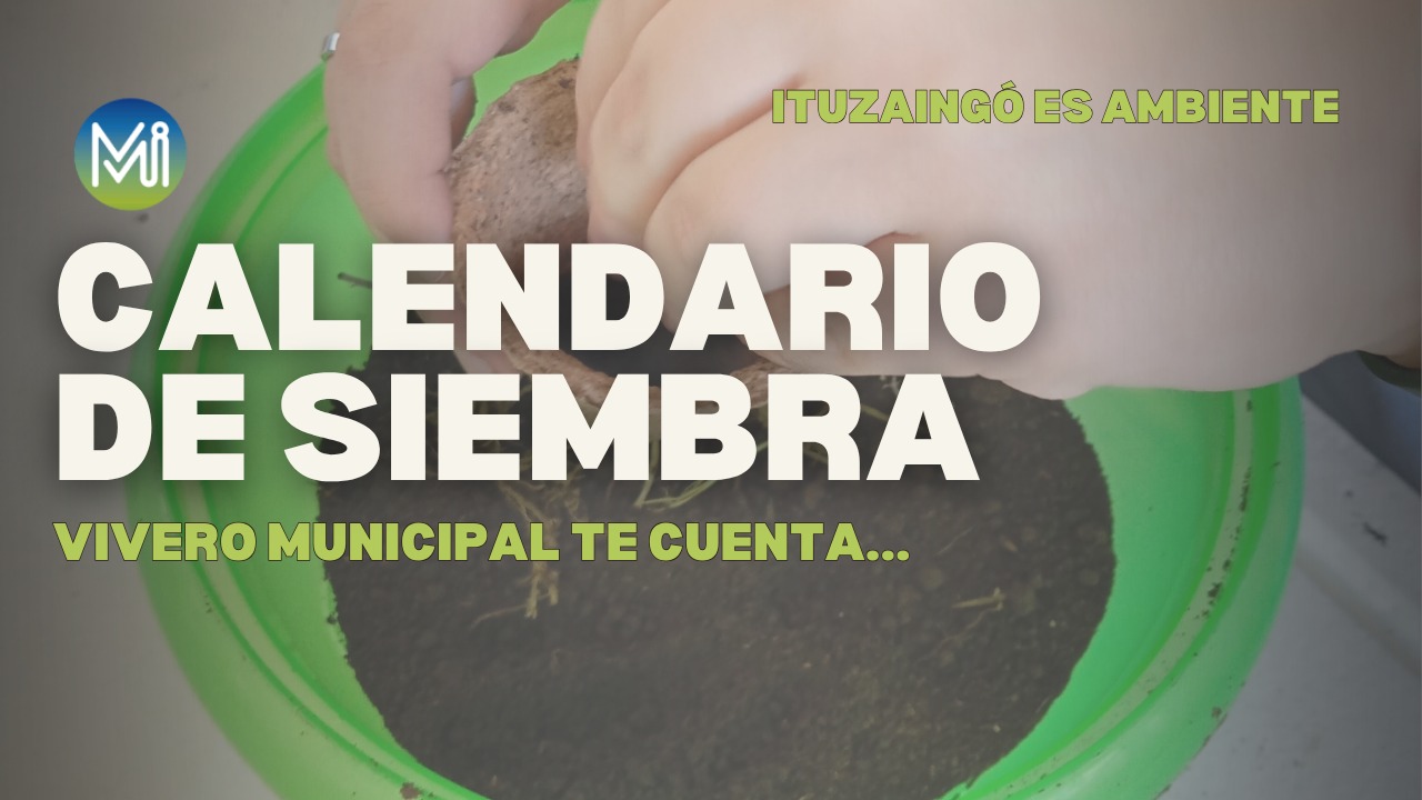 CALENDARIO DE SIEMBRA | NOS PREPARAMOS PARA EL COMPROMISO AMBIENTAL 