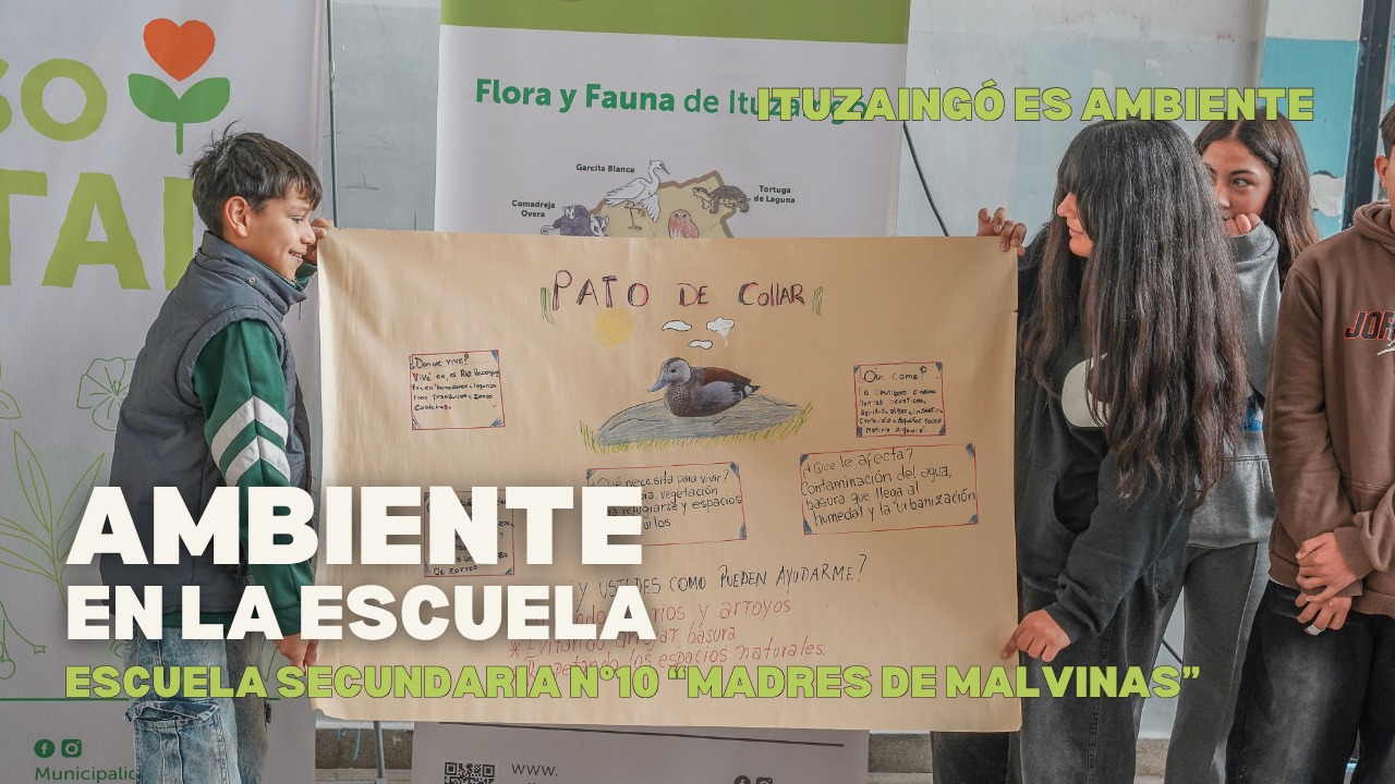 AMBIENTE EN LA ESCUELA | EES N°10 "MADRES DE MALVINAS"