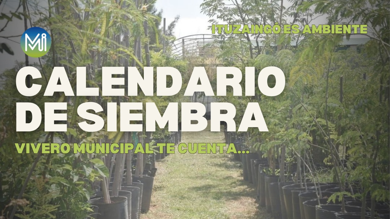 Calendario de siembra Agosto 2026 Ituzaingó es Ambiente