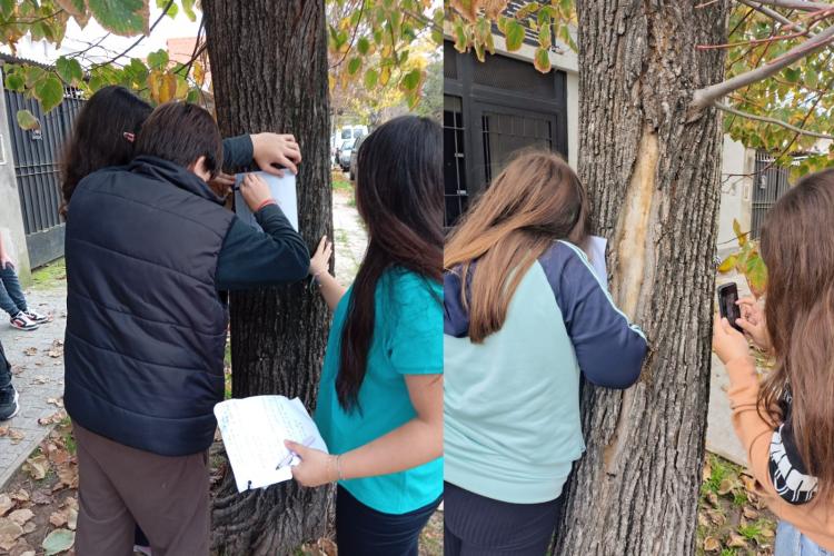 ¡Ambiente en la Escuela! EP N°5 y ES "Almirante Brown"