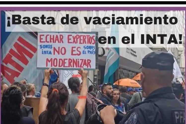 La motosierra llego al Itu amba