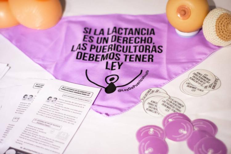 ley de puericulturas ya