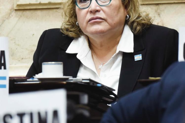 La Diputada Carolina Yutrovic en el Congreso