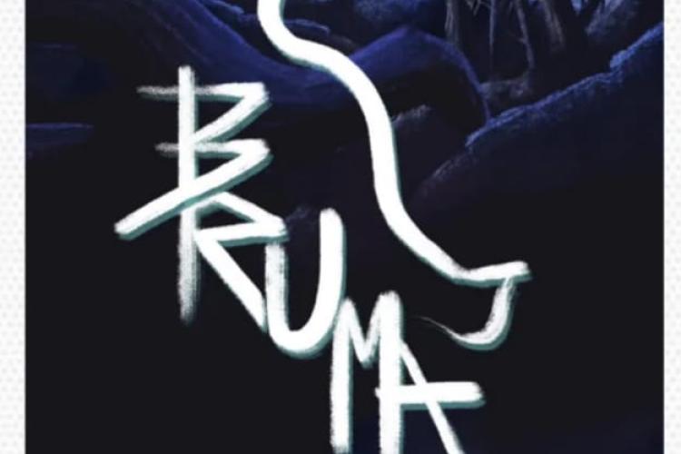 BRUMA videojuego