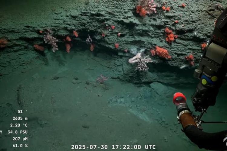 Imagenes de la expedición del Conicet