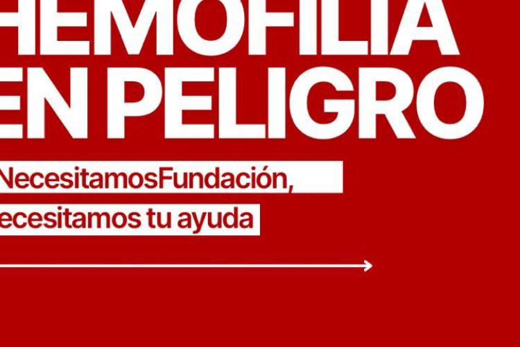 Fundacion de la Hemofilia 