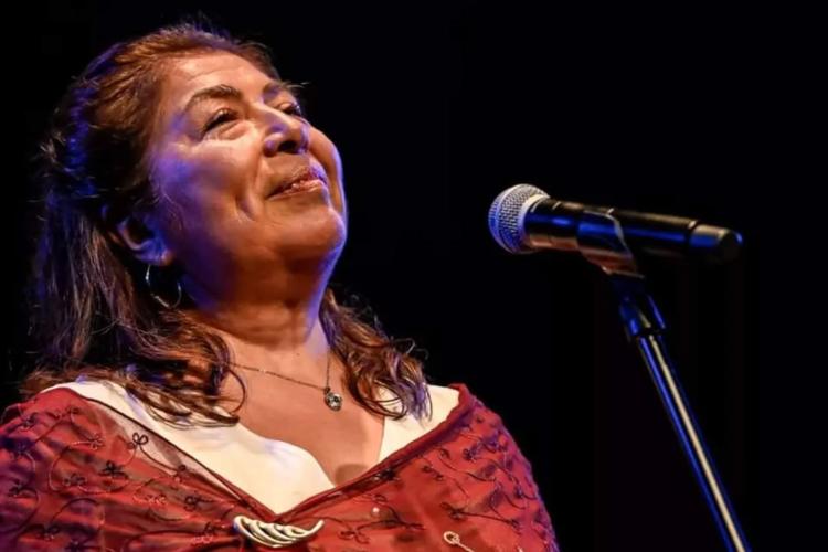 Silvia Gomez Cantautora de folklore