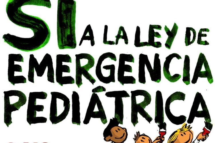No al veto, si a la ley de emergencia pediátrica. El flyer del Garrahan