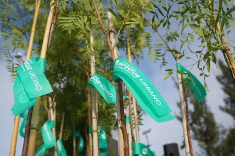 Plan estratégico Ituzaingó Bosque Urbano 2030