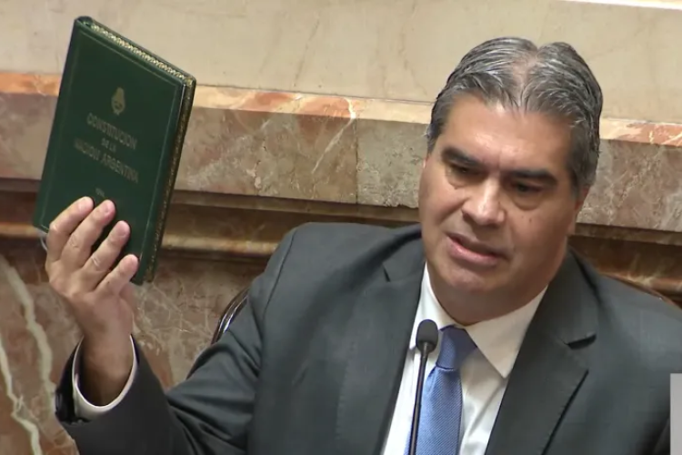 Jorge Capitanich, Senador Nacional