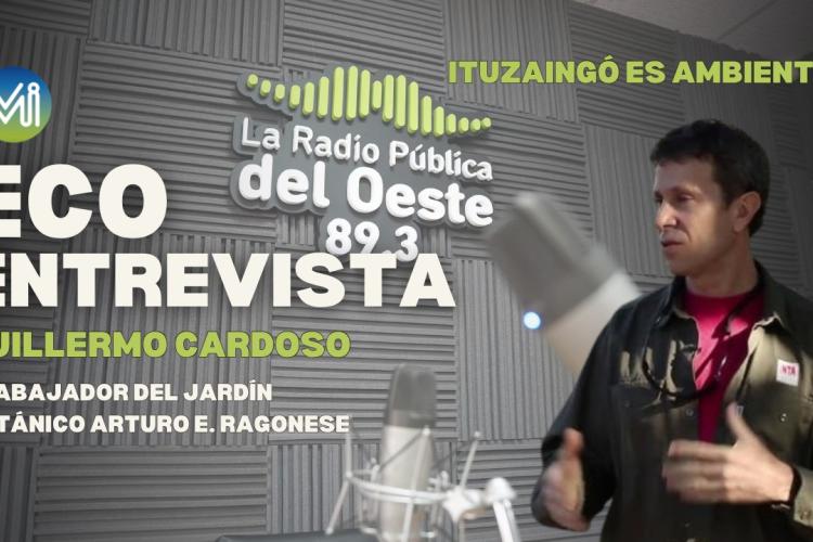 ECOENTREVISTA | GUILLERMO CARDOSO