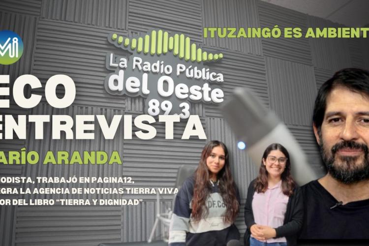 ECOENTREVISTA | DARÍO ARANDA