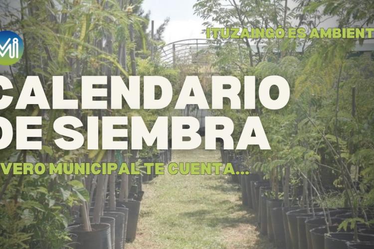 Calendario de siembra Agosto 2026 Ituzaingó es Ambiente