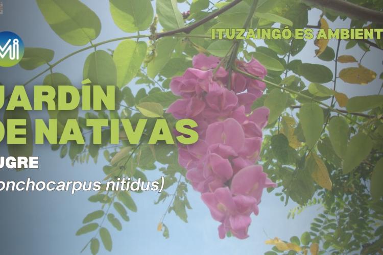 JARDÍN DE NATIVAS | BUGRE