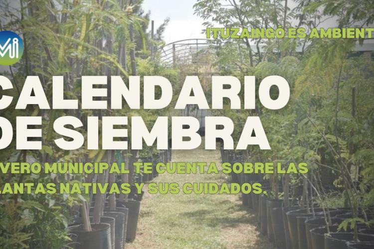 CALENDARIO DE SIEMBRA| RECOMENDACIONES PARA LAS PLANTAS NATIVAS