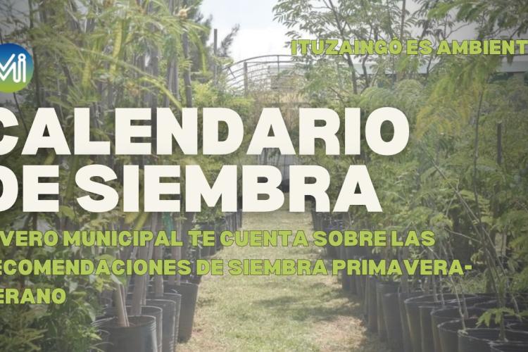 CALENDARIO DE SIEMBRA | VIVERO MUNICIPAL